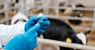 ukzn-professional:-farmers-have-to-be-aware-strict-fmd-vaccine-security-protocols-–-sabc-news-–-xavier-radio-ug