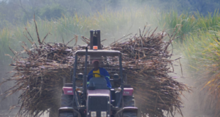 date-disagreement-stalls-tongaat-hulett-liquidation-case-–-xavier-radio-ug