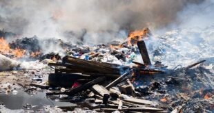 nema-bans-originate-shatter-burning,-culprits-to-face-prosecution,-fines