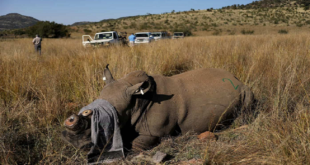 aucamp-pledges-to-continue-supporting-fight-against-rhino-poaching-–-xavier-radio-ug