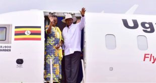 wings-of-ambition,-weight-of-reality