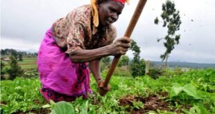 why-the-african-union-assembly-for-ministers-accountable-for-alternate-issues-for-africa