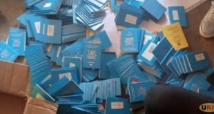 police-impound-261-illegal-passports