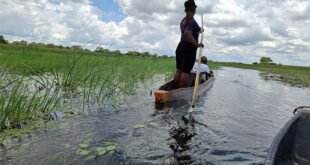 cruising-on-the-mokoro-inside-the-okavango-delta
