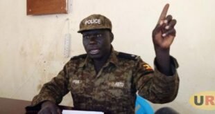 kampala-traders-caught-with-smuggled-livestock-in-nakapiripirit