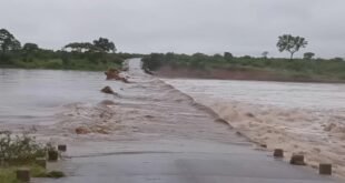 limpopo-on-high-alert-after-renewed-heavy-flooding-–-xavier-radio-ug