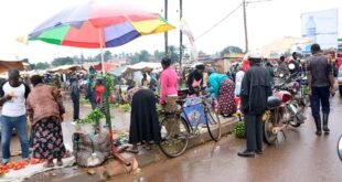 street-vending-in-kampala:-balancing-livelihoods,-law,-and-city-order