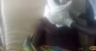 flowers-and-fauna-attacks-renew-apprehension-in-abim-district-–-xavier-radio-ug