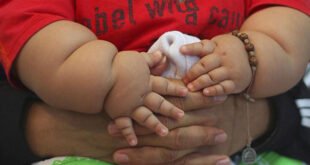 23%-of-sa-youngsters-feeble-6–14-overweight-or-overweight:-gauteng-effectively-being-–-xavier-radio-ug